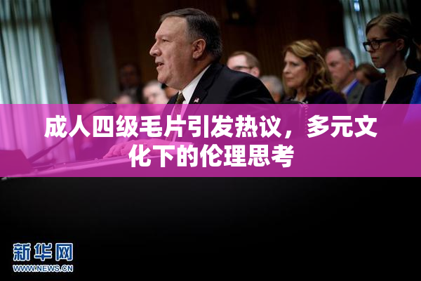 成人四级毛片引发热议，多元文化下的伦理思考