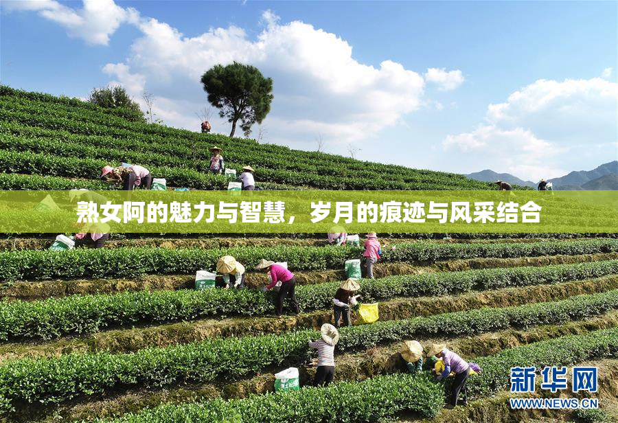 熟女阿的魅力与智慧，岁月的痕迹与风采结合
