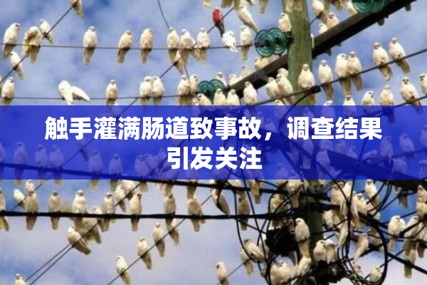 触手灌满肠道致事故，调查结果引发关注