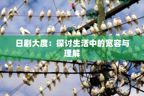 日剧大度：探讨生活中的宽容与理解