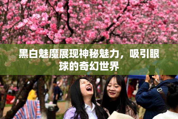 黑白魅魔展现神秘魅力，吸引眼球的奇幻世界