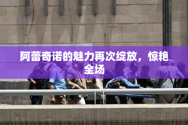阿蕾奇诺的魅力再次绽放，惊艳全场