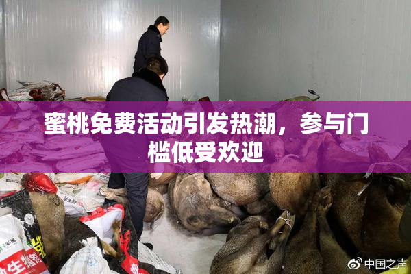 蜜桃免费活动引发热潮，参与门槛低受欢迎