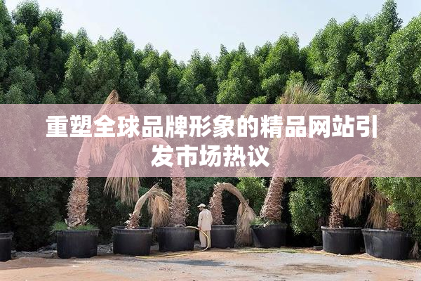 重塑全球品牌形象的精品网站引发市场热议