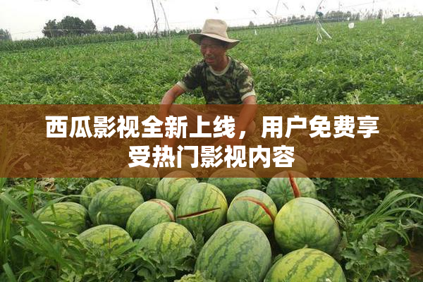 西瓜影视全新上线，用户免费享受热门影视内容