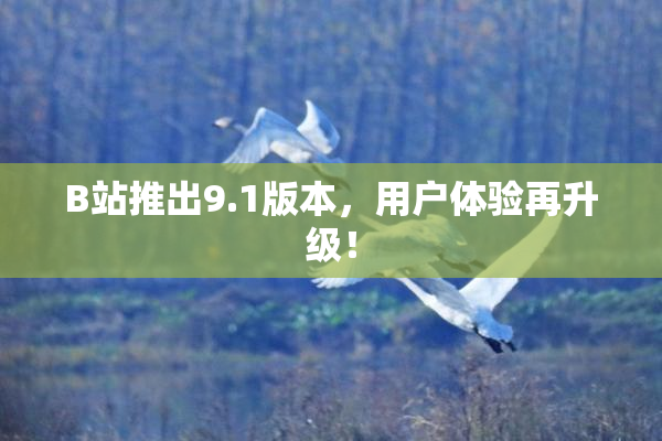 B站推出9.1版本，用户体验再升级！