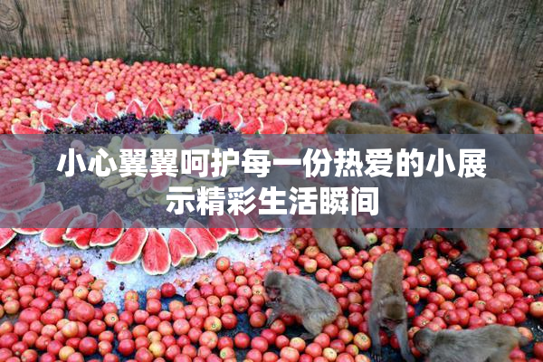 小心翼翼呵护每一份热爱的小展示精彩生活瞬间