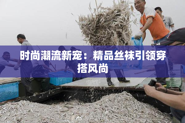 时尚潮流新宠：精品丝袜引领穿搭风尚