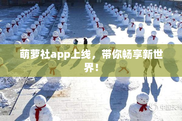萌萝社app上线，带你畅享新世界！