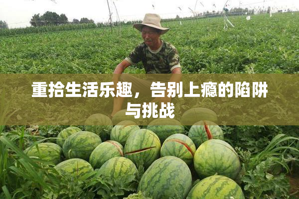 重拾生活乐趣，告别上瘾的陷阱与挑战