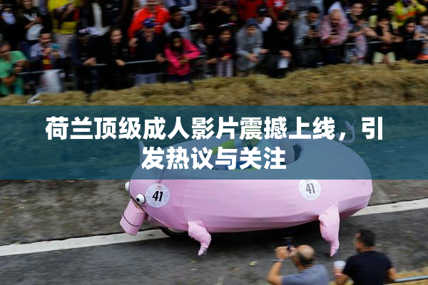 荷兰顶级成人影片震撼上线，引发热议与关注