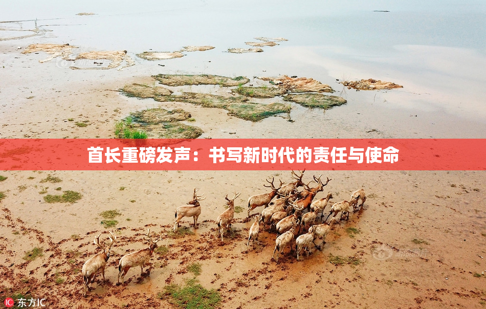 首长重磅发声：书写新时代的责任与使命