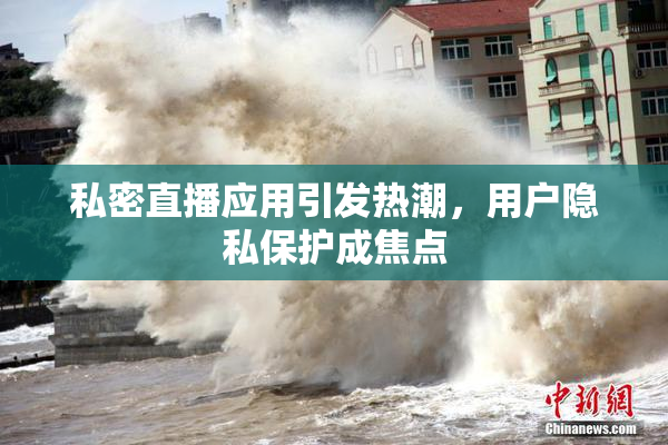 私密直播应用引发热潮，用户隐私保护成焦点