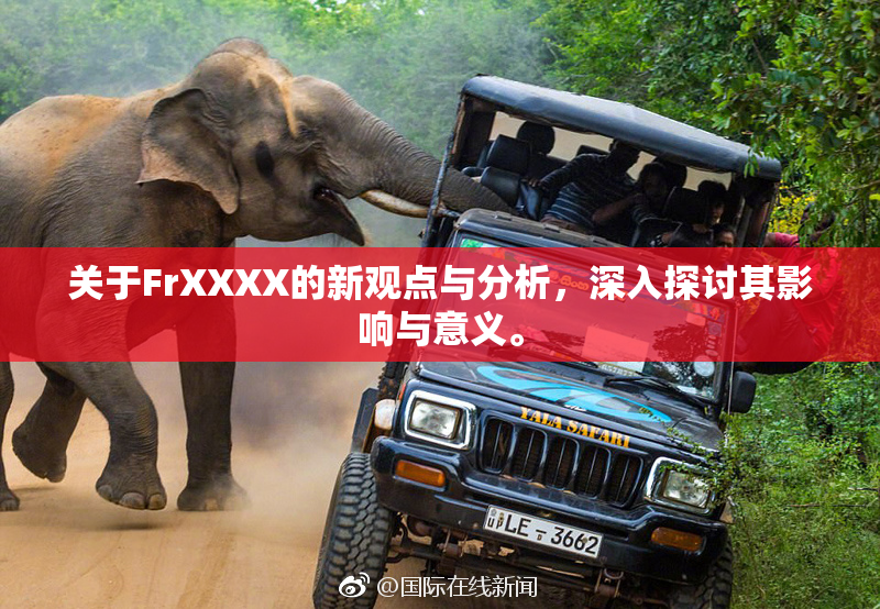 关于FrXXXX的新观点与分析，深入探讨其影响与意义。