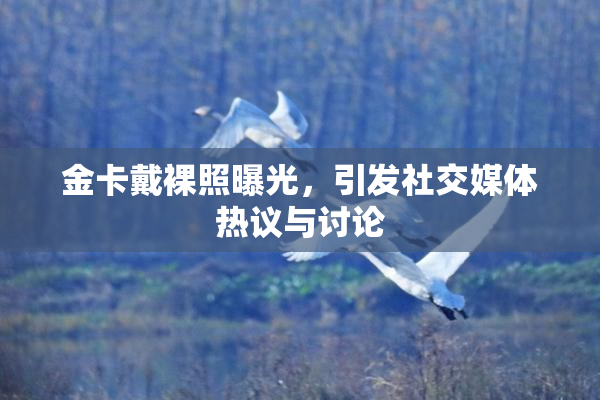 金卡戴裸照曝光，引发社交媒体热议与讨论