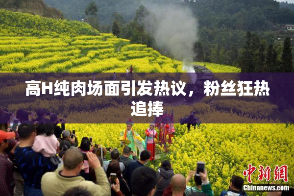 高H纯肉场面引发热议，粉丝狂热追捧