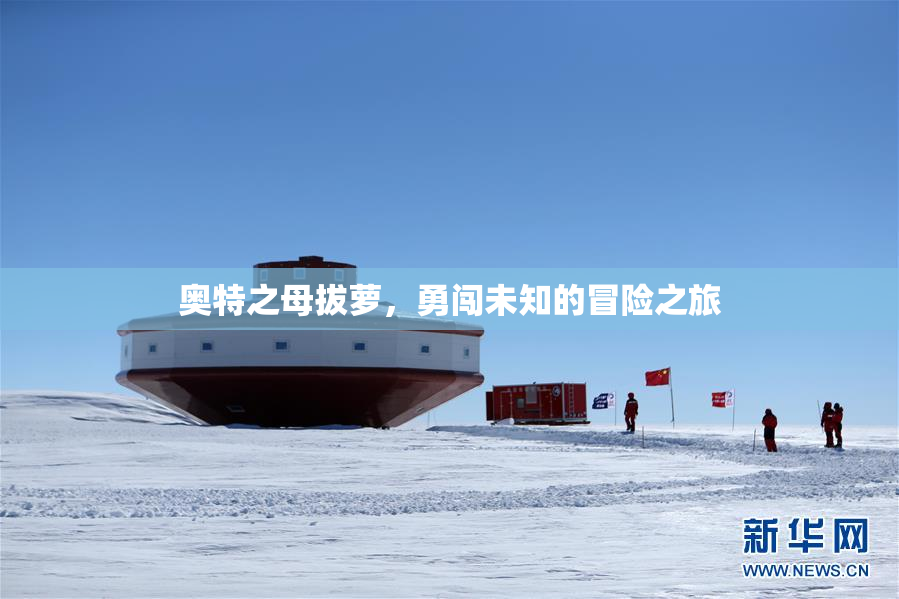 奥特之母拔萝，勇闯未知的冒险之旅