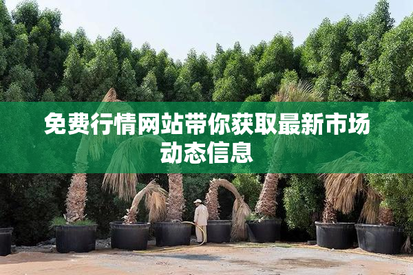 免费行情网站带你获取最新市场动态信息