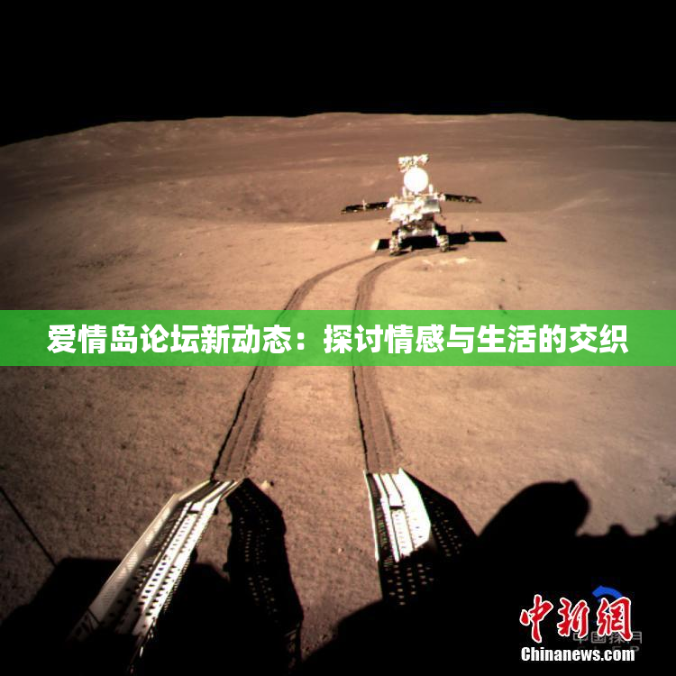 爱情岛论坛新动态：探讨情感与生活的交织