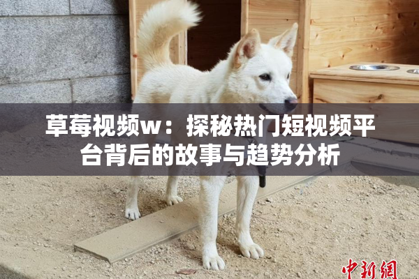 草莓视频w：探秘热门短视频平台背后的故事与趋势分析