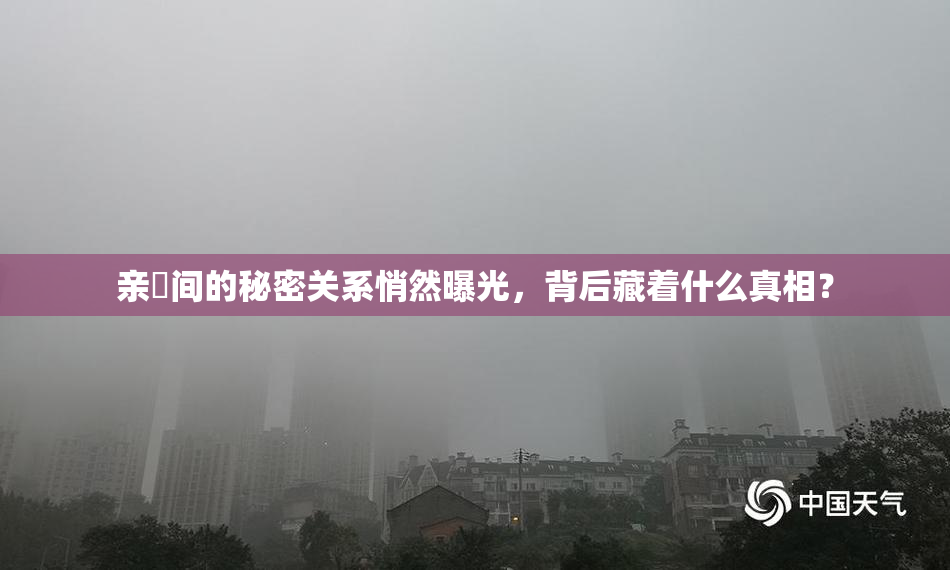 亲妺间的秘密关系悄然曝光，背后藏着什么真相？