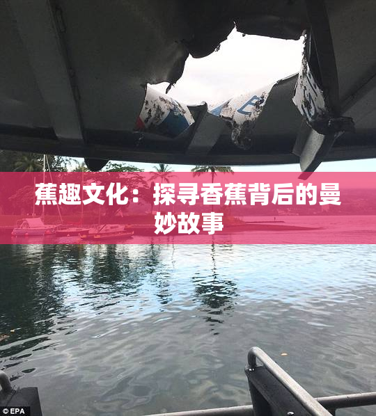 蕉趣文化：探寻香蕉背后的曼妙故事