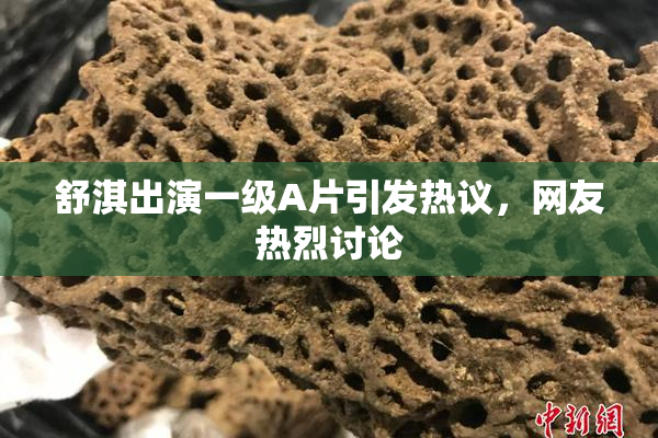舒淇出演一级A片引发热议，网友热烈讨论