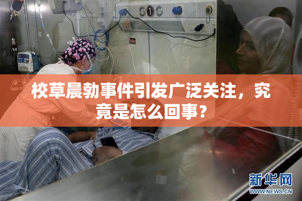 校草晨勃事件引发广泛关注，究竟是怎么回事？