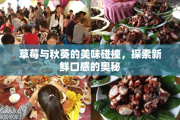 草莓与秋葵的美味碰撞，探索新鲜口感的奥秘