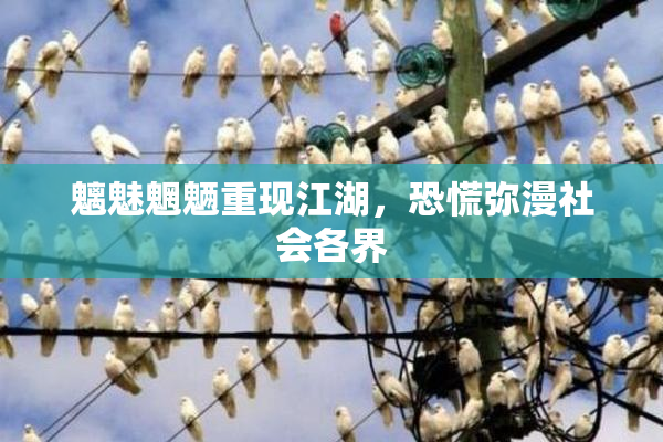 魑魅魍魉重现江湖，恐慌弥漫社会各界