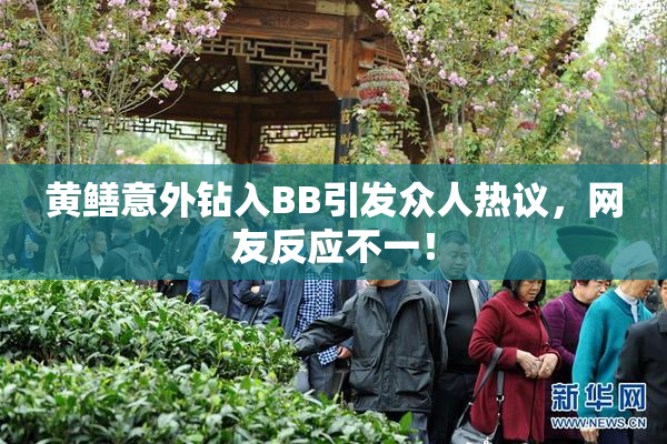 黄鳝意外钻入BB引发众人热议，网友反应不一！