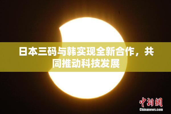 日本三码与韩实现全新合作，共同推动科技发展