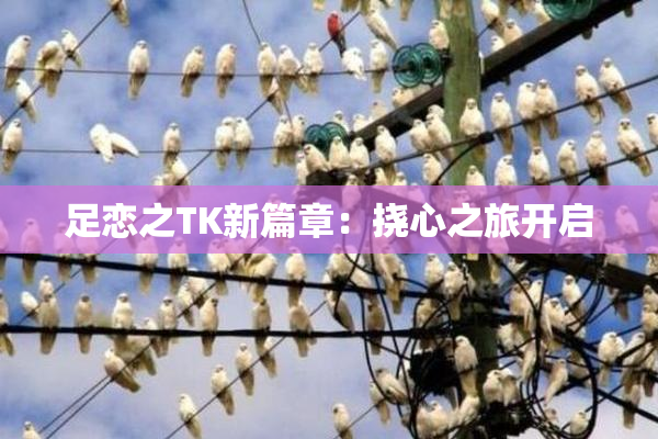 足恋之TK新篇章：挠心之旅开启