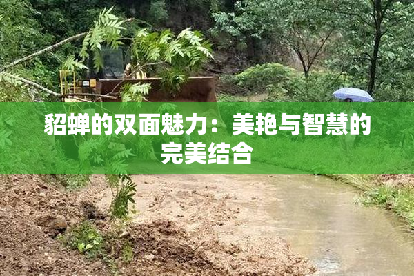 貂蝉的双面魅力：美艳与智慧的完美结合