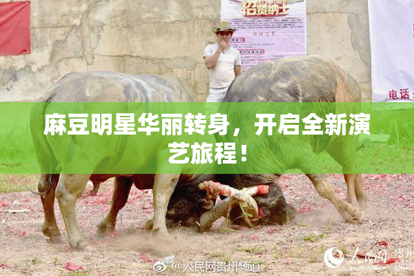 麻豆明星华丽转身，开启全新演艺旅程！