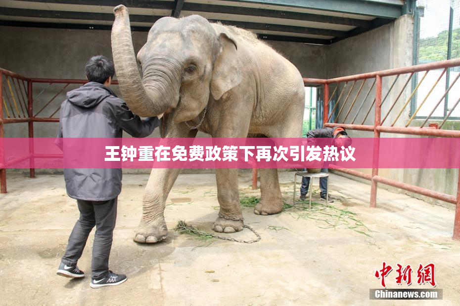 王钟重在免费政策下再次引发热议