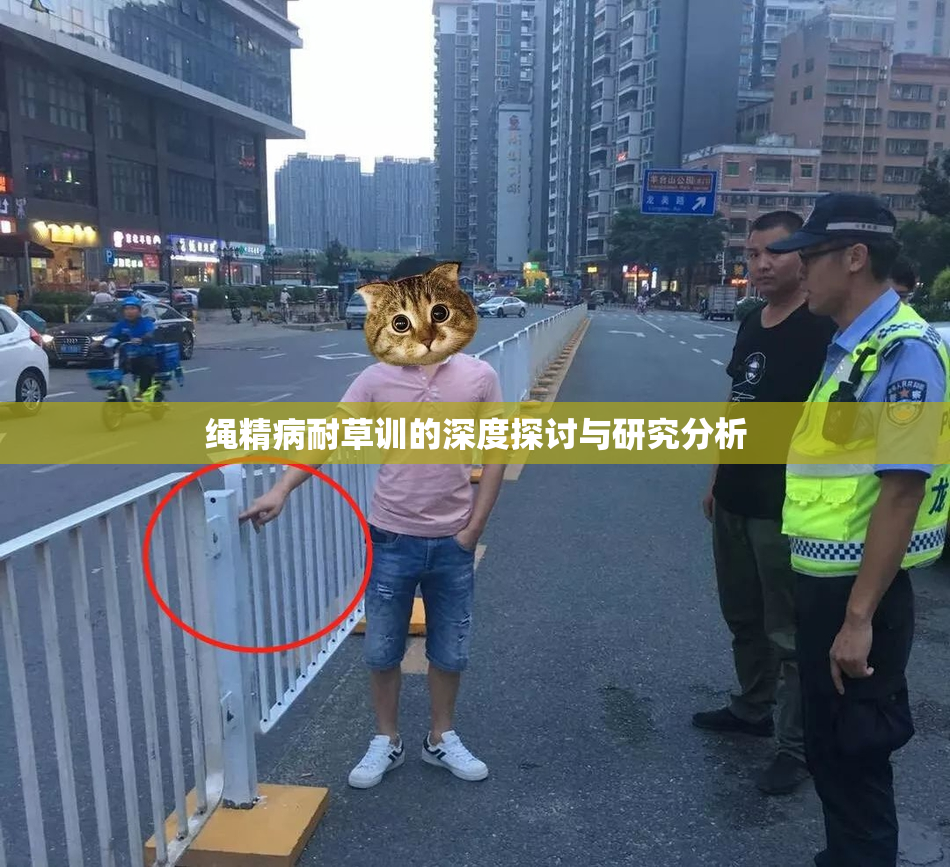 绳精病耐草训的深度探讨与研究分析