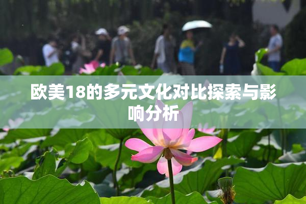 欧美18的多元文化对比探索与影响分析