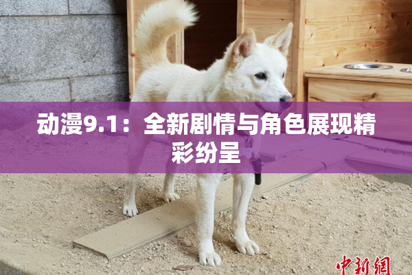 动漫9.1：全新剧情与角色展现精彩纷呈
