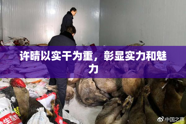 许晴以实干为重，彰显实力和魅力