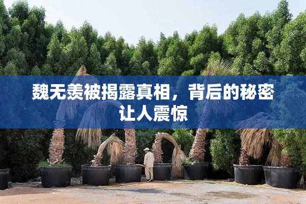魏无羡被揭露真相，背后的秘密让人震惊