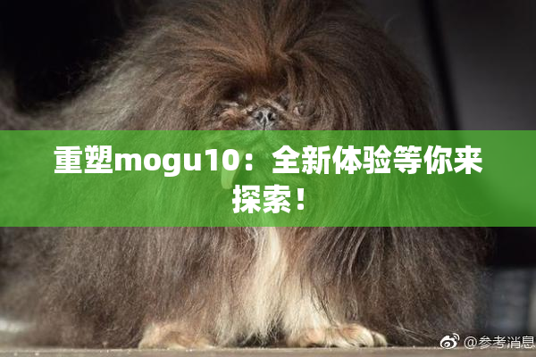 重塑mogu10：全新体验等你来探索！