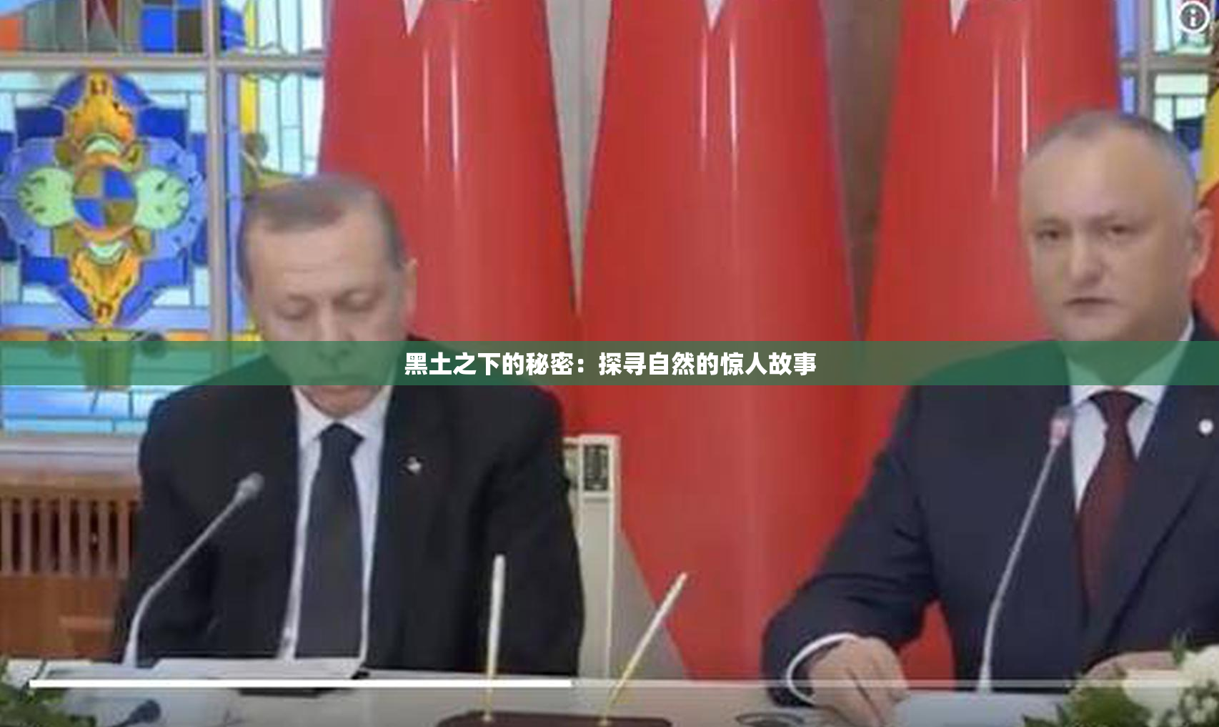黑土之下的秘密：探寻自然的惊人故事