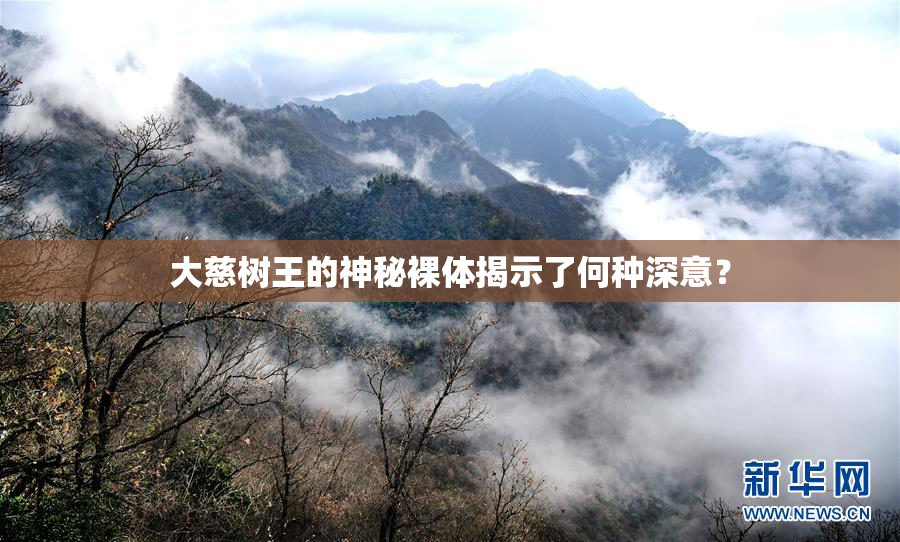 大慈树王的神秘裸体揭示了何种深意？