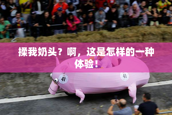 揉我奶头？啊，这是怎样的一种体验！