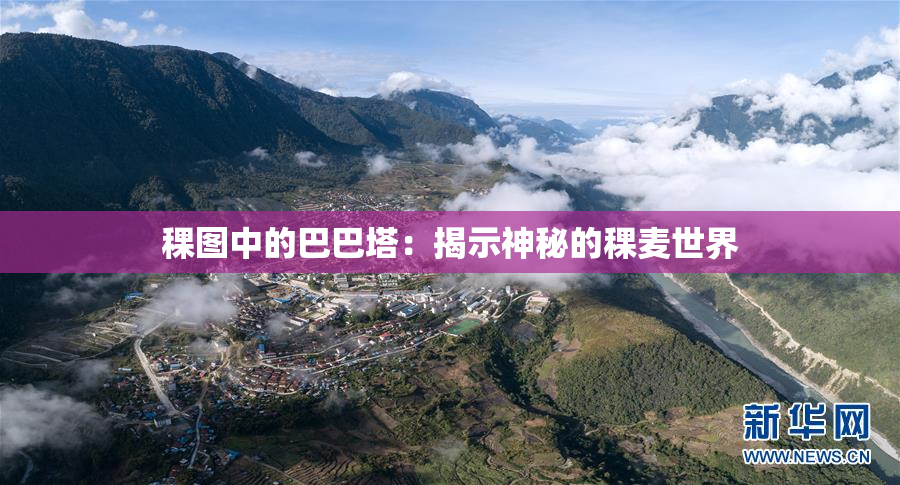 稞图中的巴巴塔：揭示神秘的稞麦世界