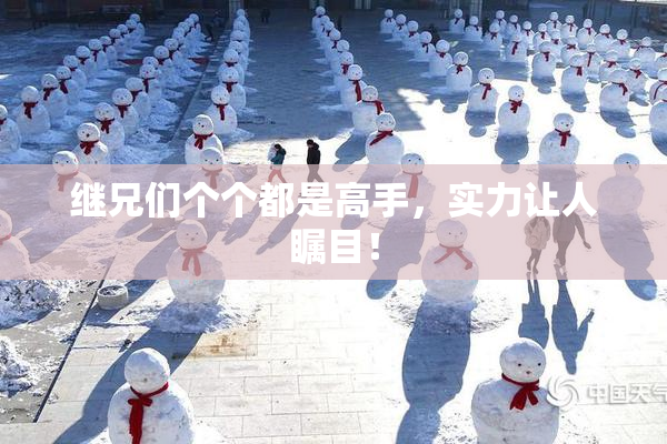 继兄们个个都是高手，实力让人瞩目！