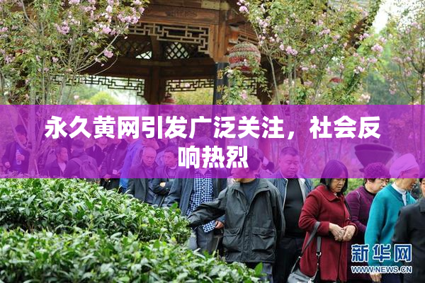 永久黄网引发广泛关注，社会反响热烈