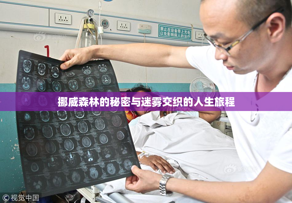 挪威森林的秘密与迷雾交织的人生旅程