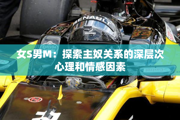 女S男M：探索主奴关系的深层次心理和情感因素